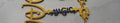 Magic Cruise Ship magnet Key