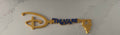 Treasure Cruise Ship magnet Key